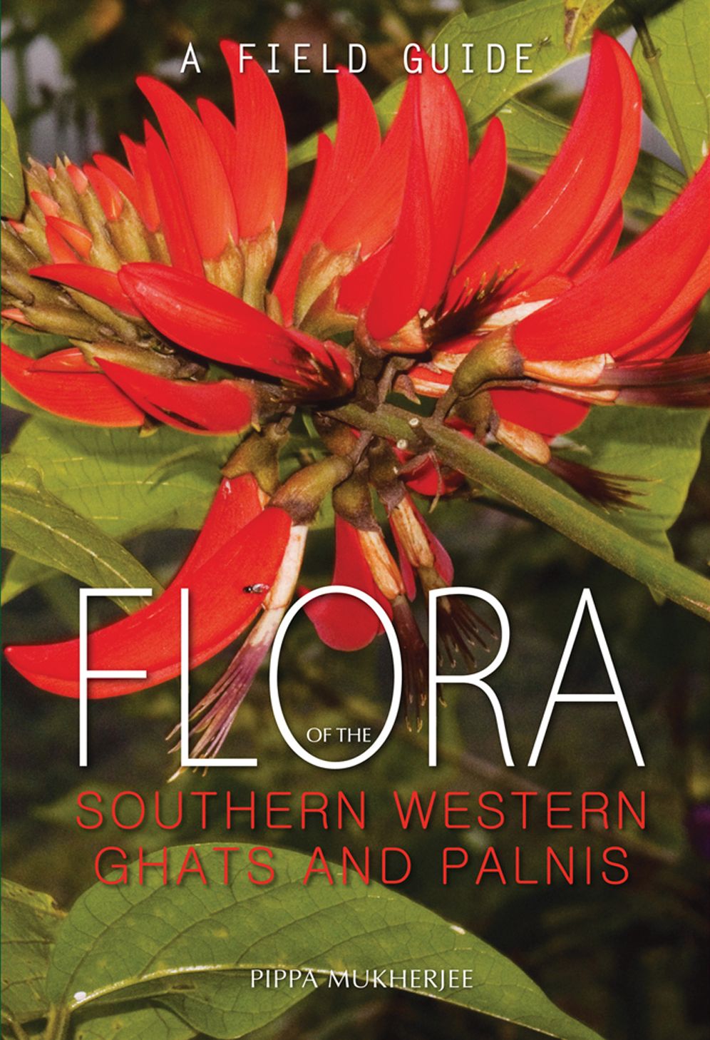 Flora of the Southern Western Ghats and Palnis: A Field Guide