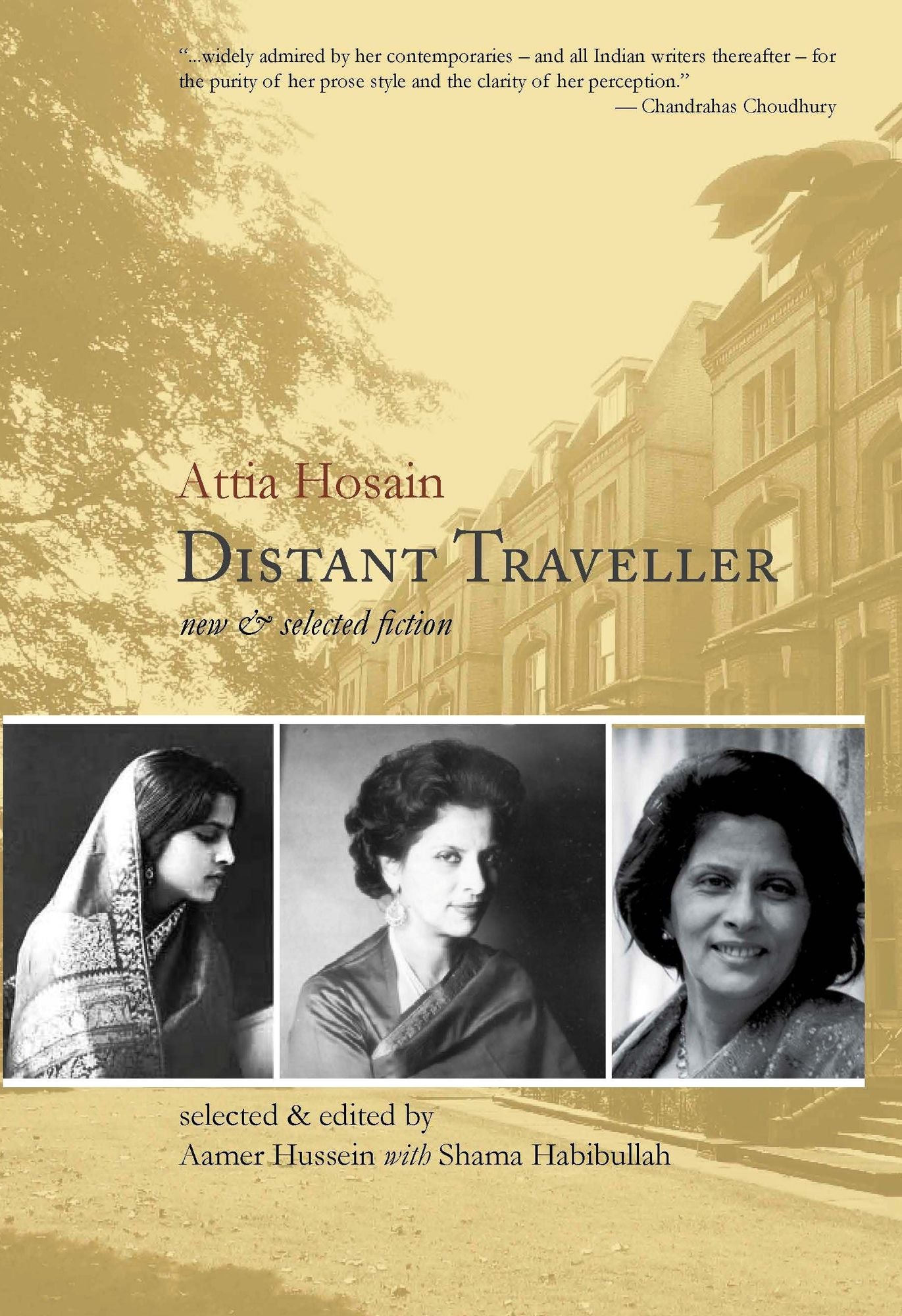 Distant Traveller: New and Selected Fiction