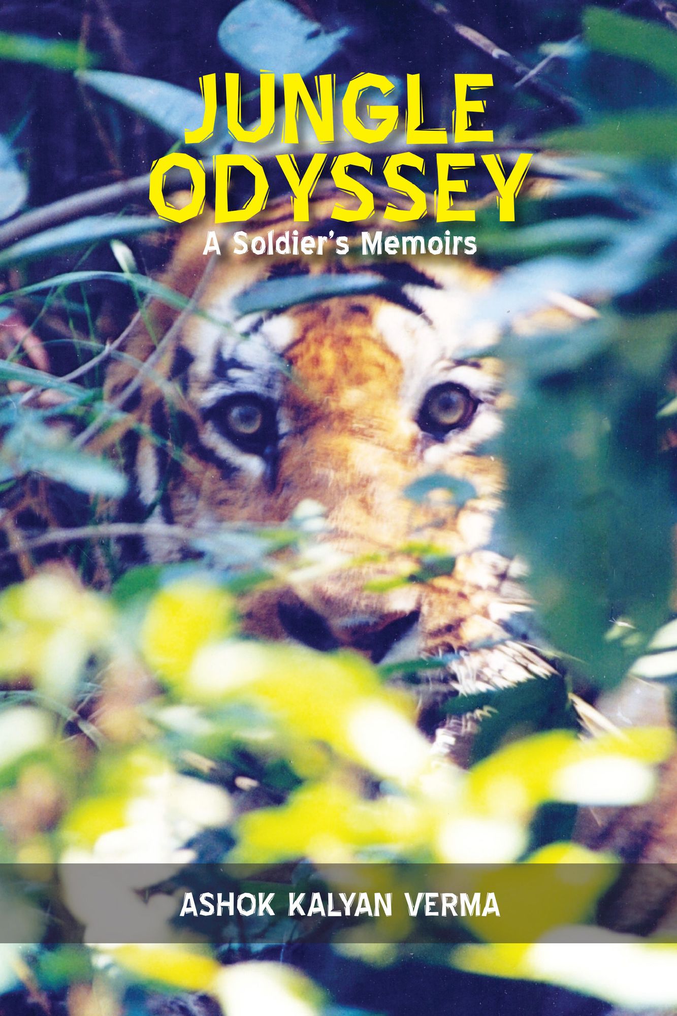 Jungle Odyssey (A Soldiers Memoirs)