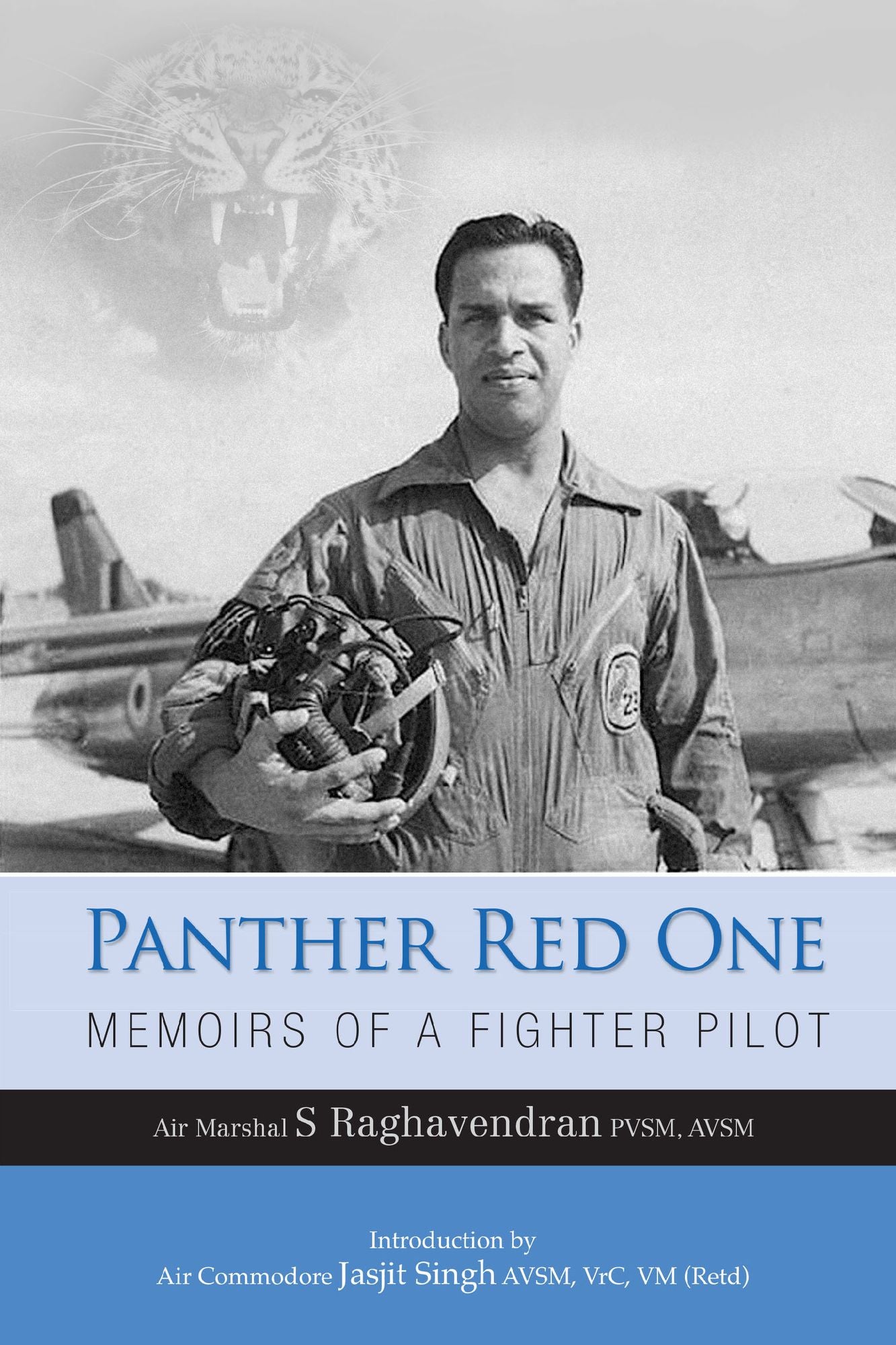 Panther Red One: Memoirs of a Fighter Pilot: Memoirs of a Fighter Pilot
