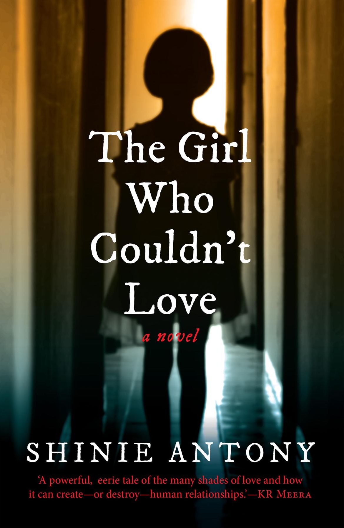The Girl Who Couldn't Love: A Novel