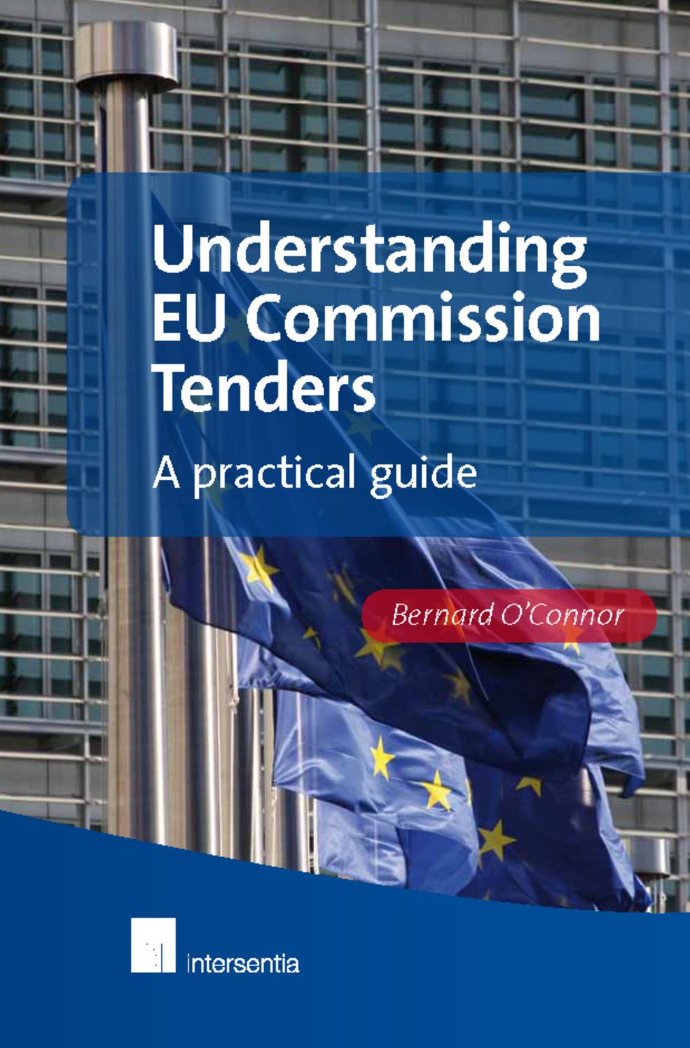 Understanding EU Commission Tenders: A Practical Guide