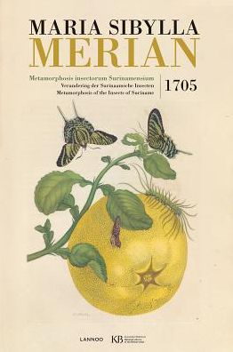 Maria Sibylla Merian: Metamorphosis Insectorum Surinamensium