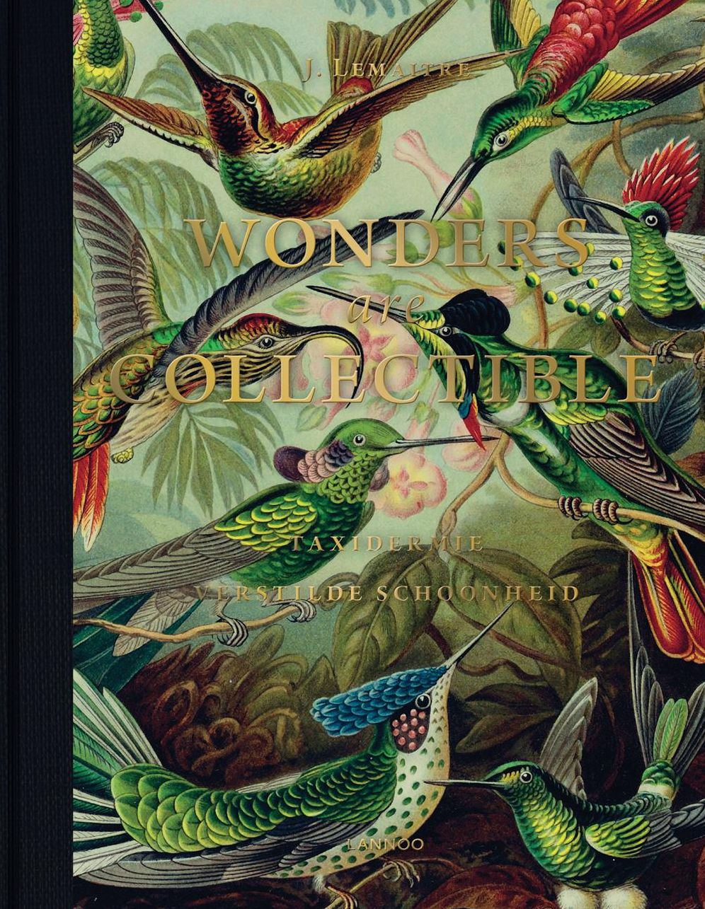 Wonders Are Collectible: Taxidermy: The Beauty of Beetles, Bugs and Butterflies