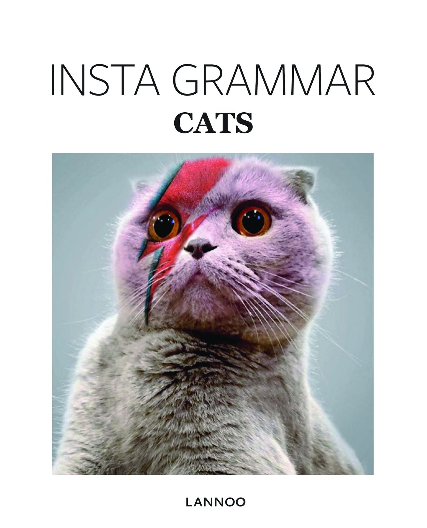 Insta Grammar: Cats