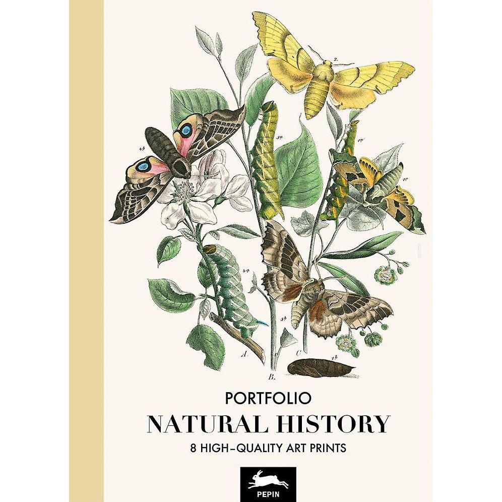 Natural History - Art Portfolio