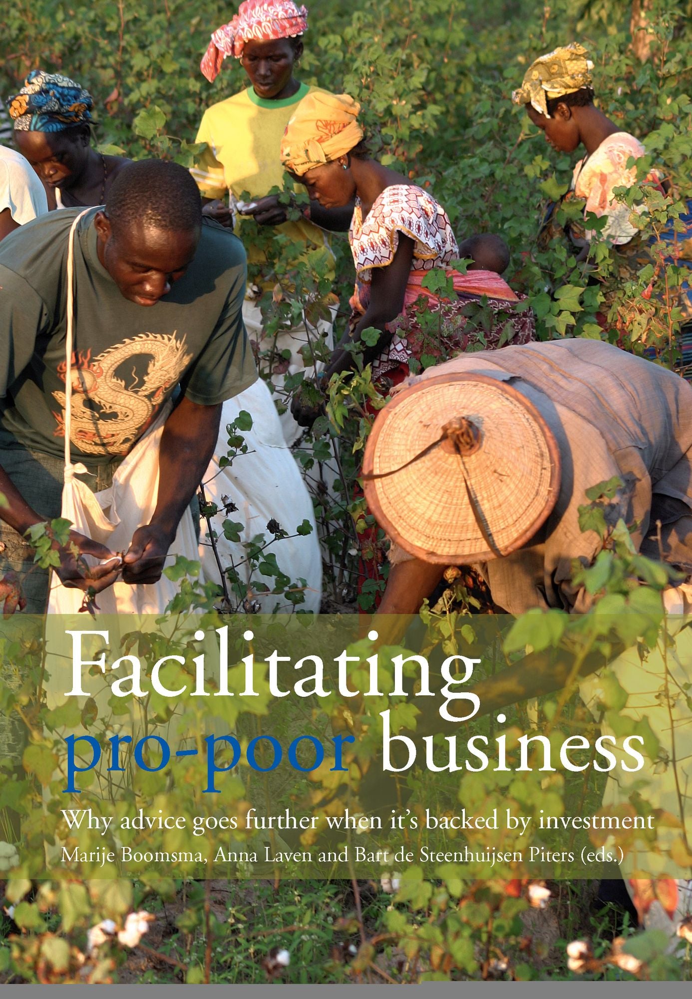 Facilitating Pro-Poor Business: Why Advice Goes Further When It's Backed By Investment