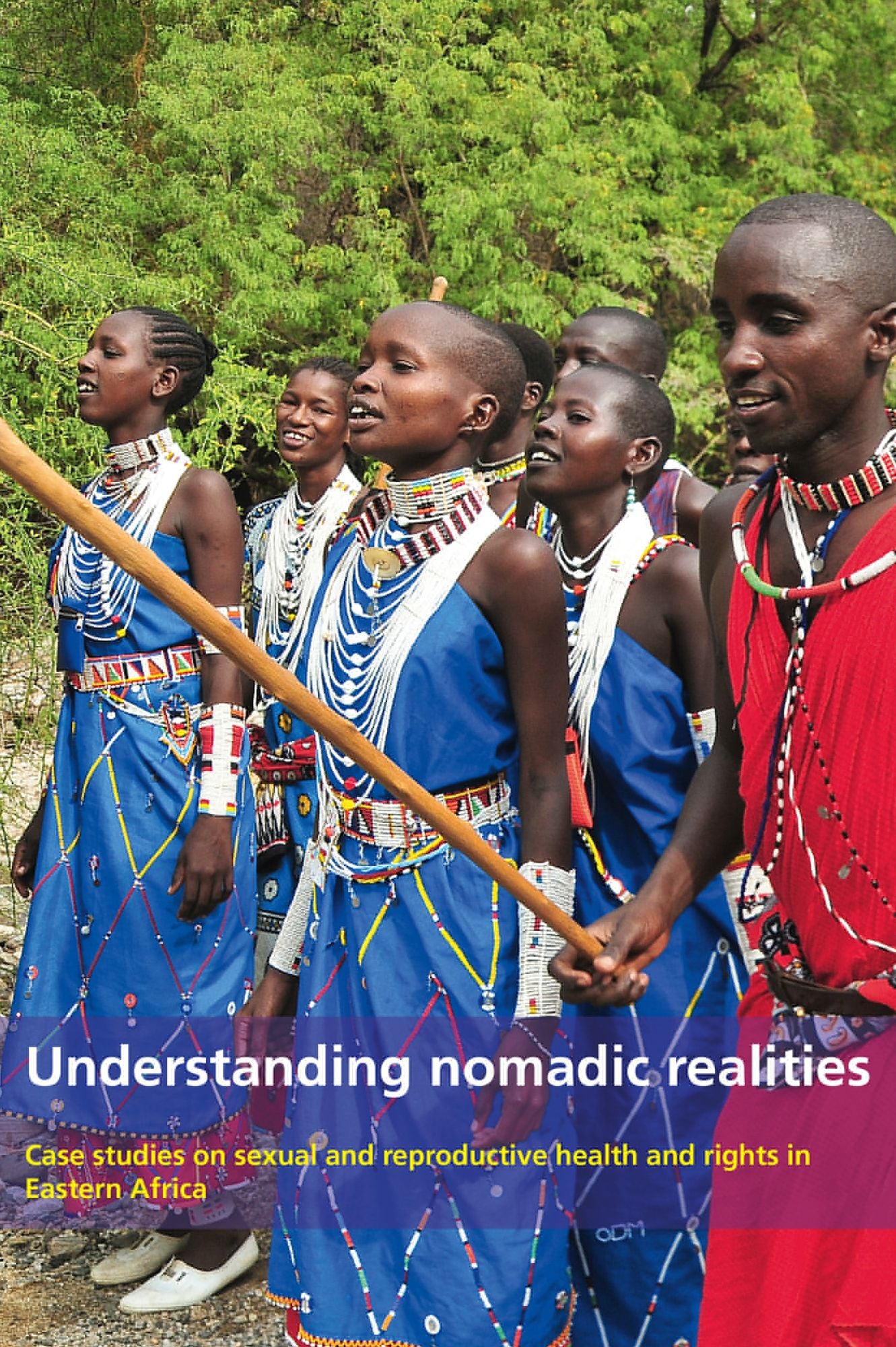 Understanding Nomadic Realities: Case Studies on Sexual and Reproductive Health in Eastern Africa