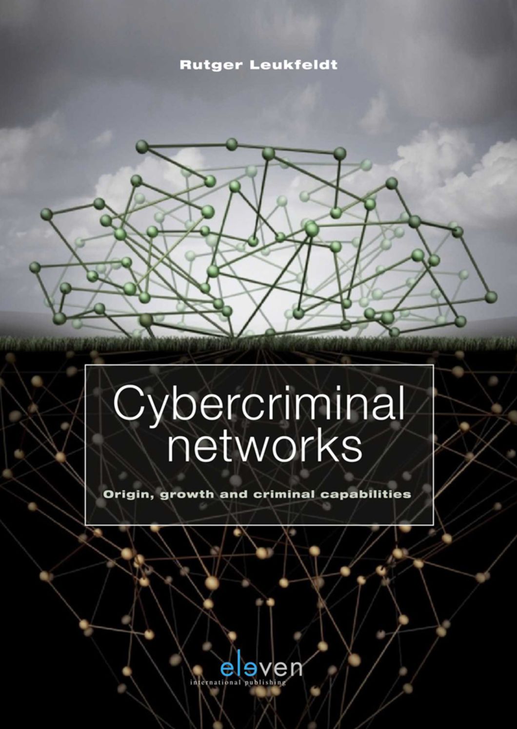 Cybercriminal Networks