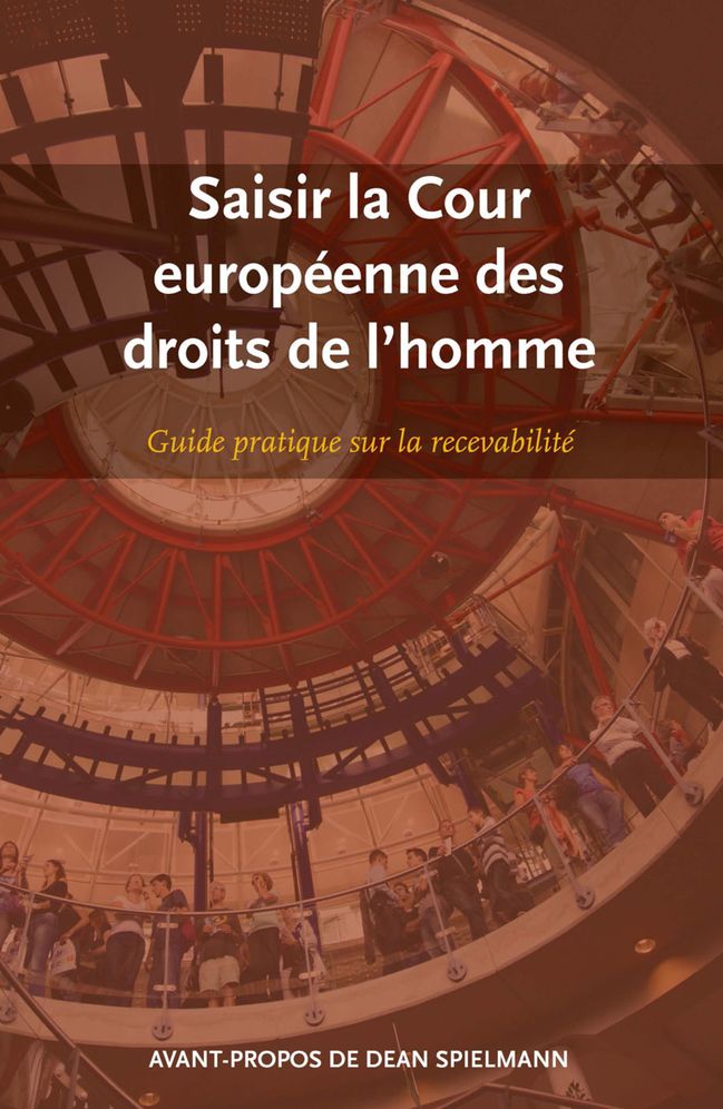 Saisir la Cour europeenne des droits de I'homme: Guide pratique sur la recevabilite