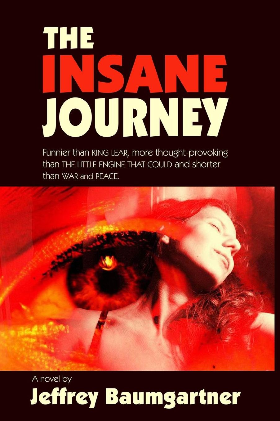 The Insane Journey