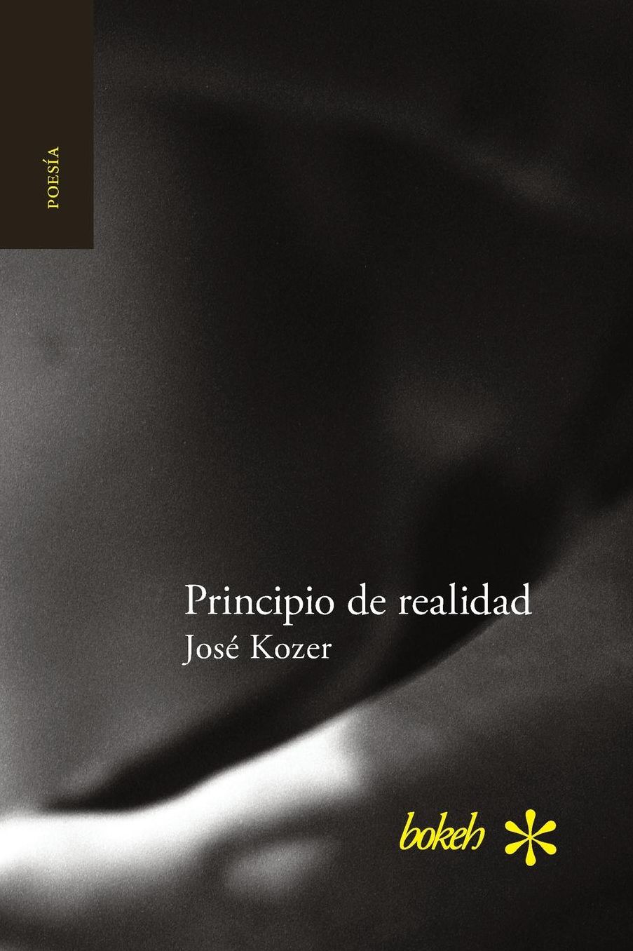 Principio de realidad