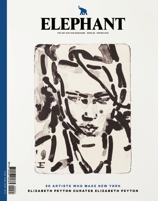 Elephant #22