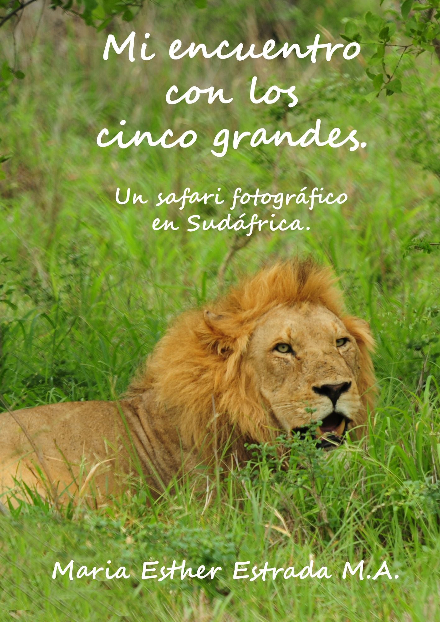 Mi encuentro con los cinco grandes.: Un safari fotográfico en Sudáfrica.