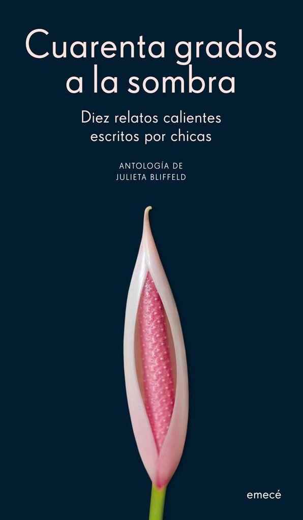 Cuarenta grados a la sombra: 10 relatos calientes escritos por chicas