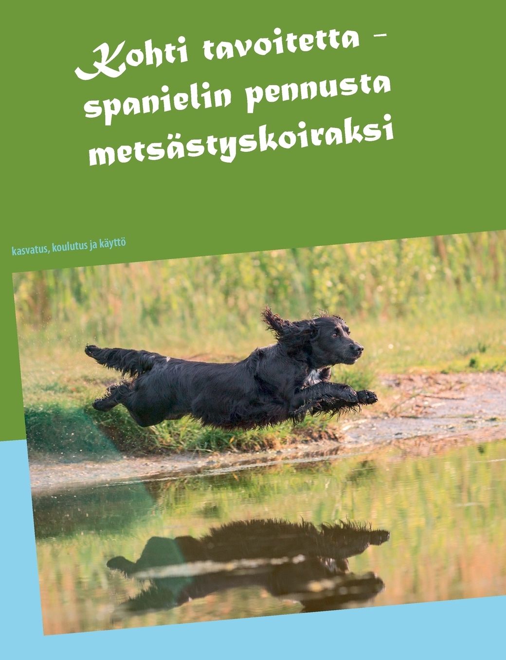 Kohti tavoitetta - spanielin pennusta mets styskoiraksi