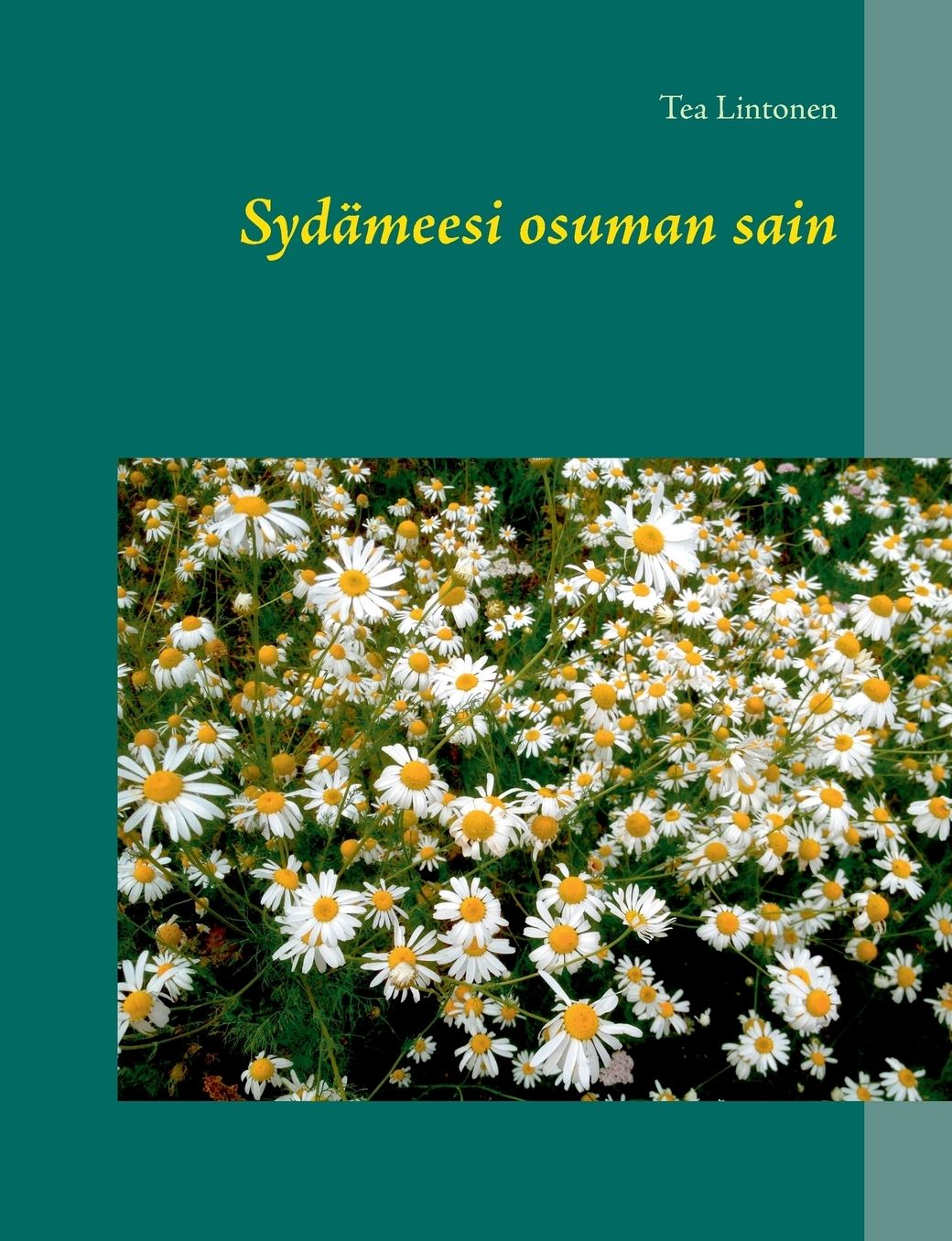 Syd meesi osuman sain