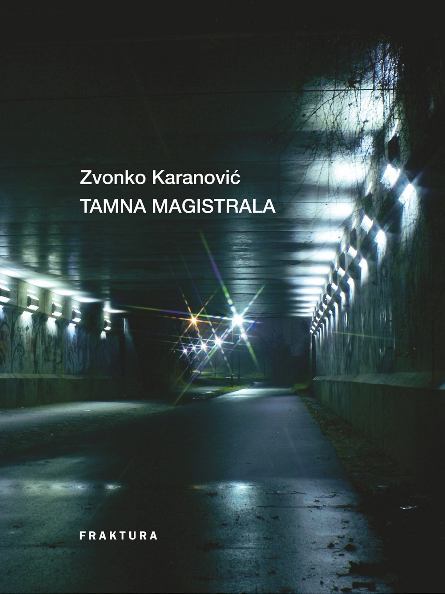 Tamna magistrala