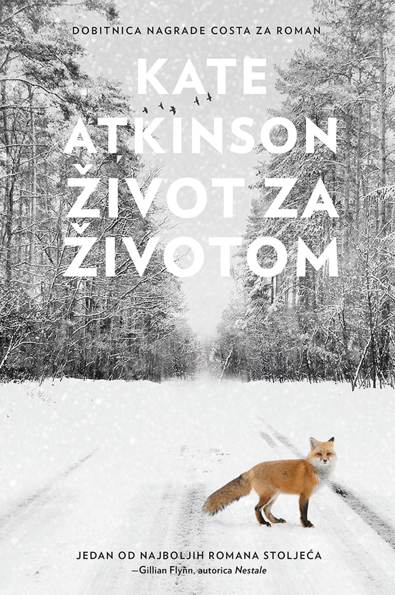 Život za životom (Life After Life)