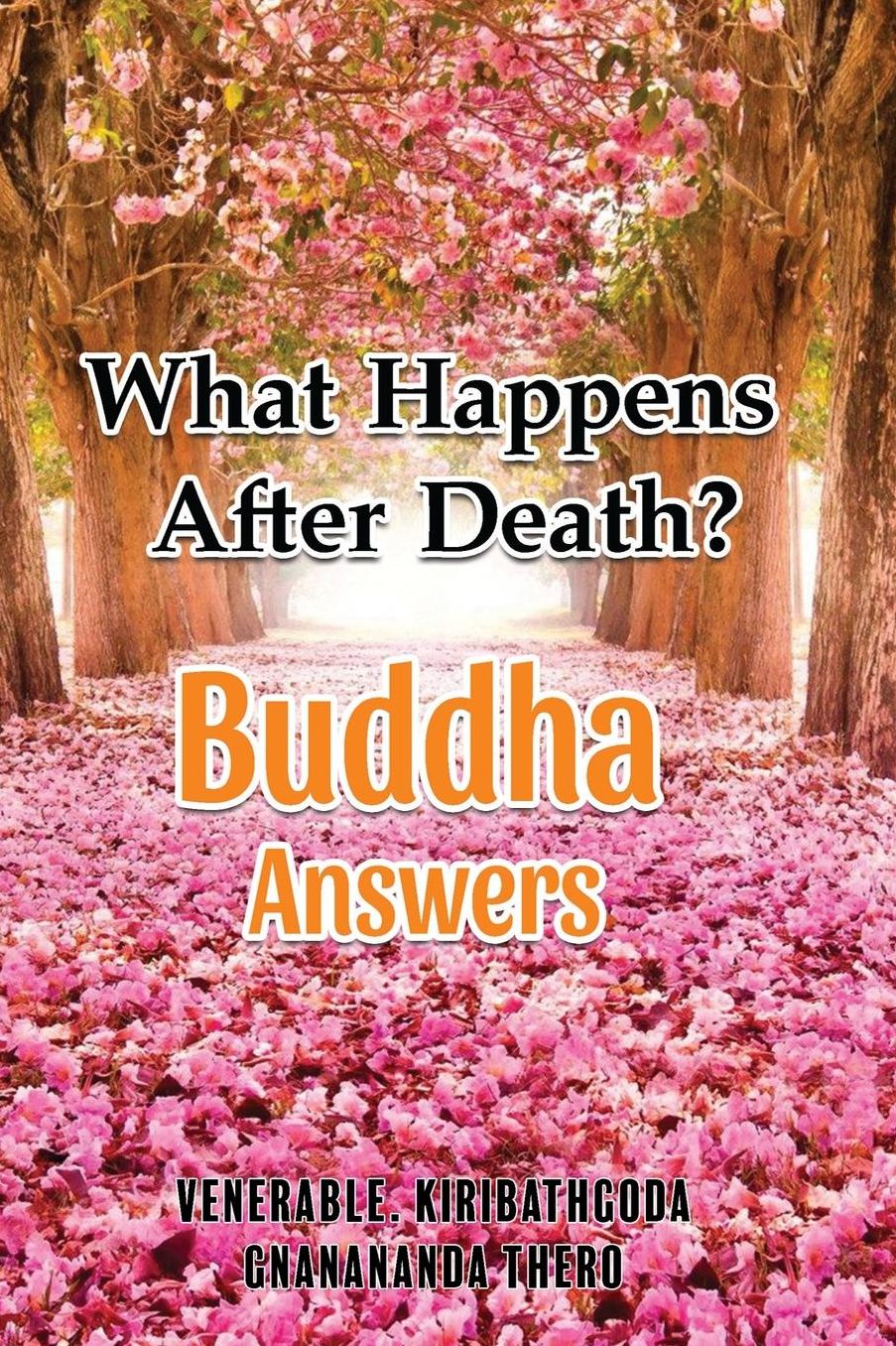 What Happens After Death-Buddha Answers