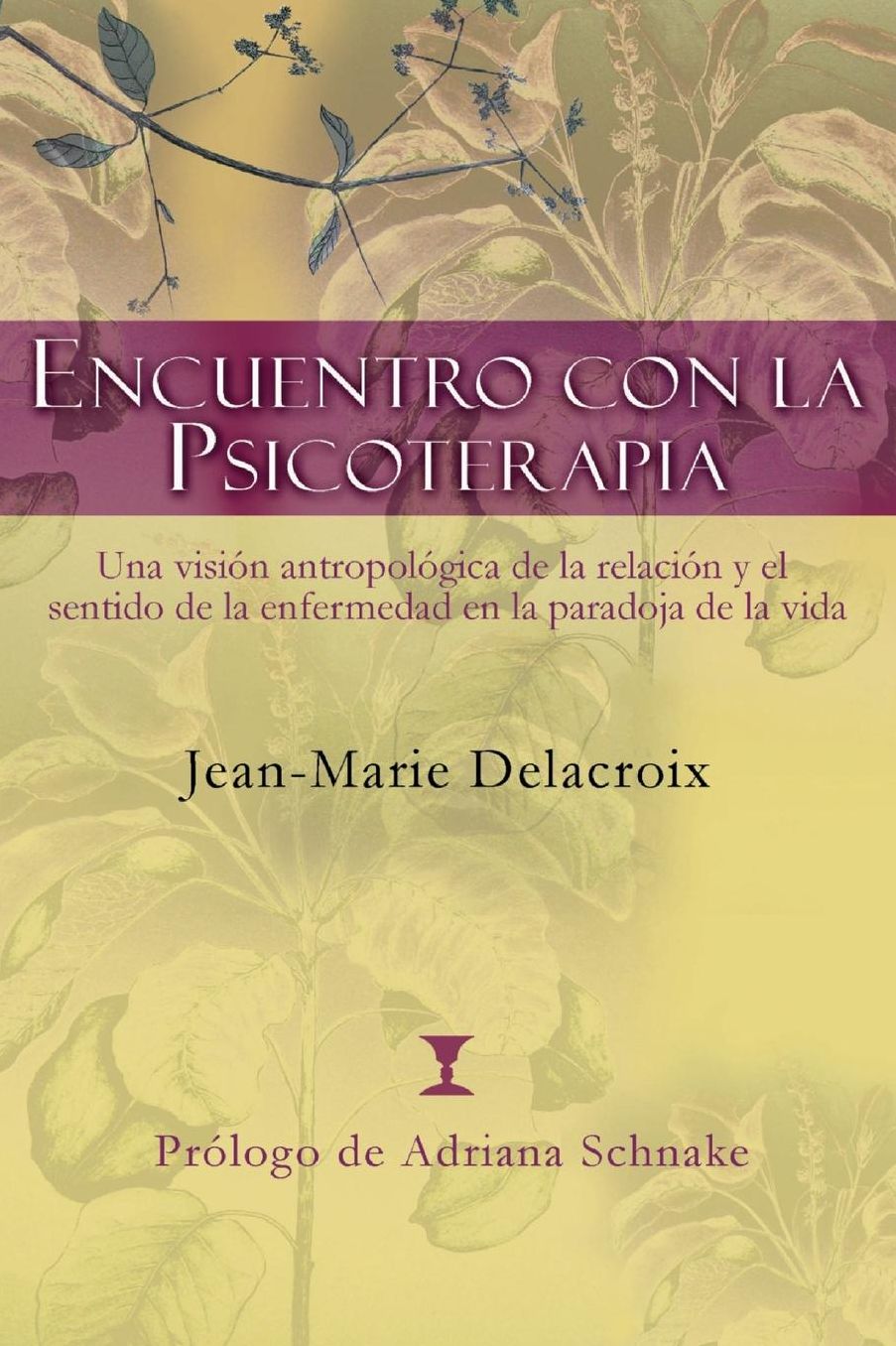 Encuentro con la psicoterapia: Una vision antropologica de la relacion y el sentido de la enfermedad en la paradoja de la vida