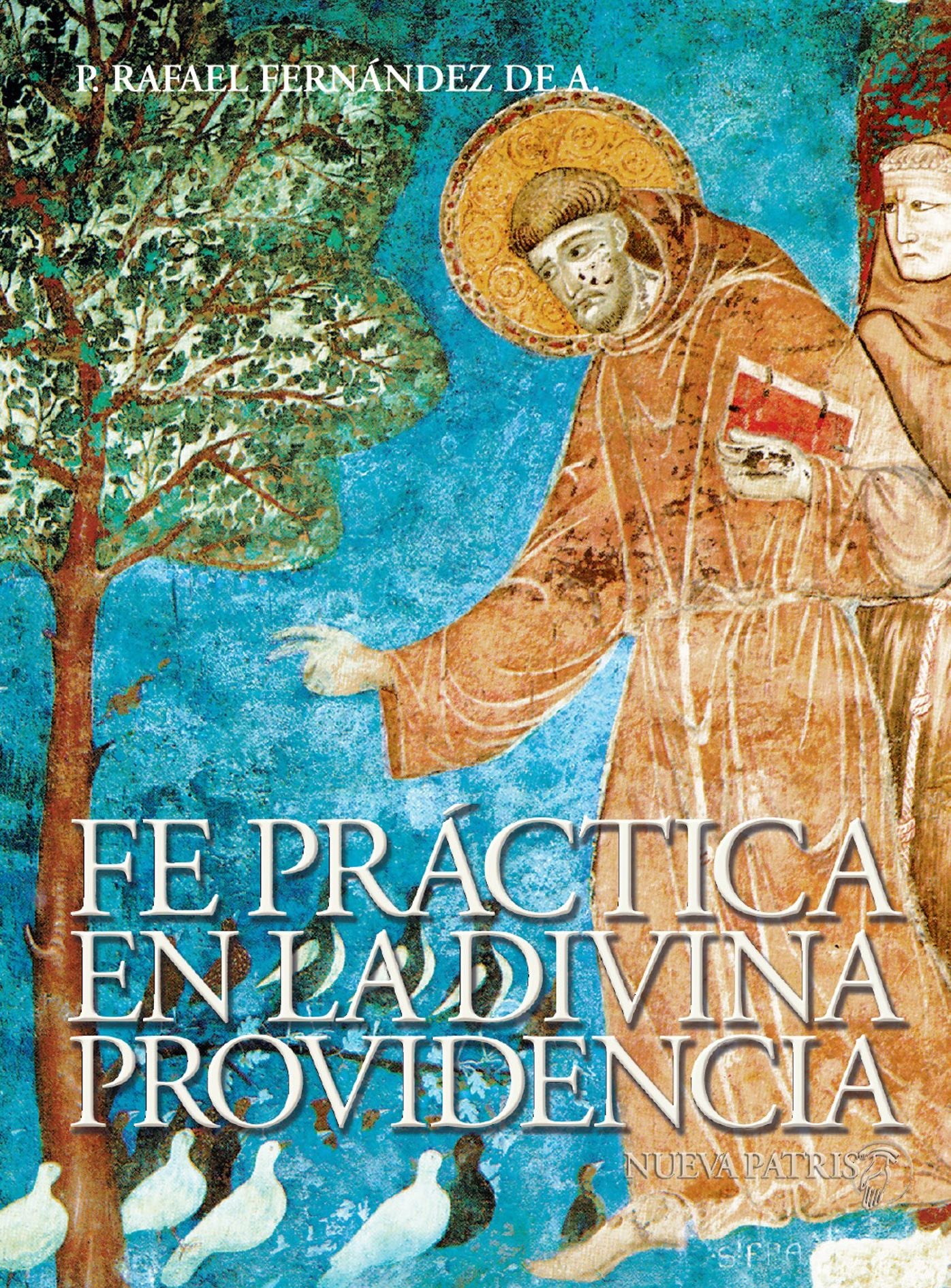 Fe Práctica en la Divina Providencia