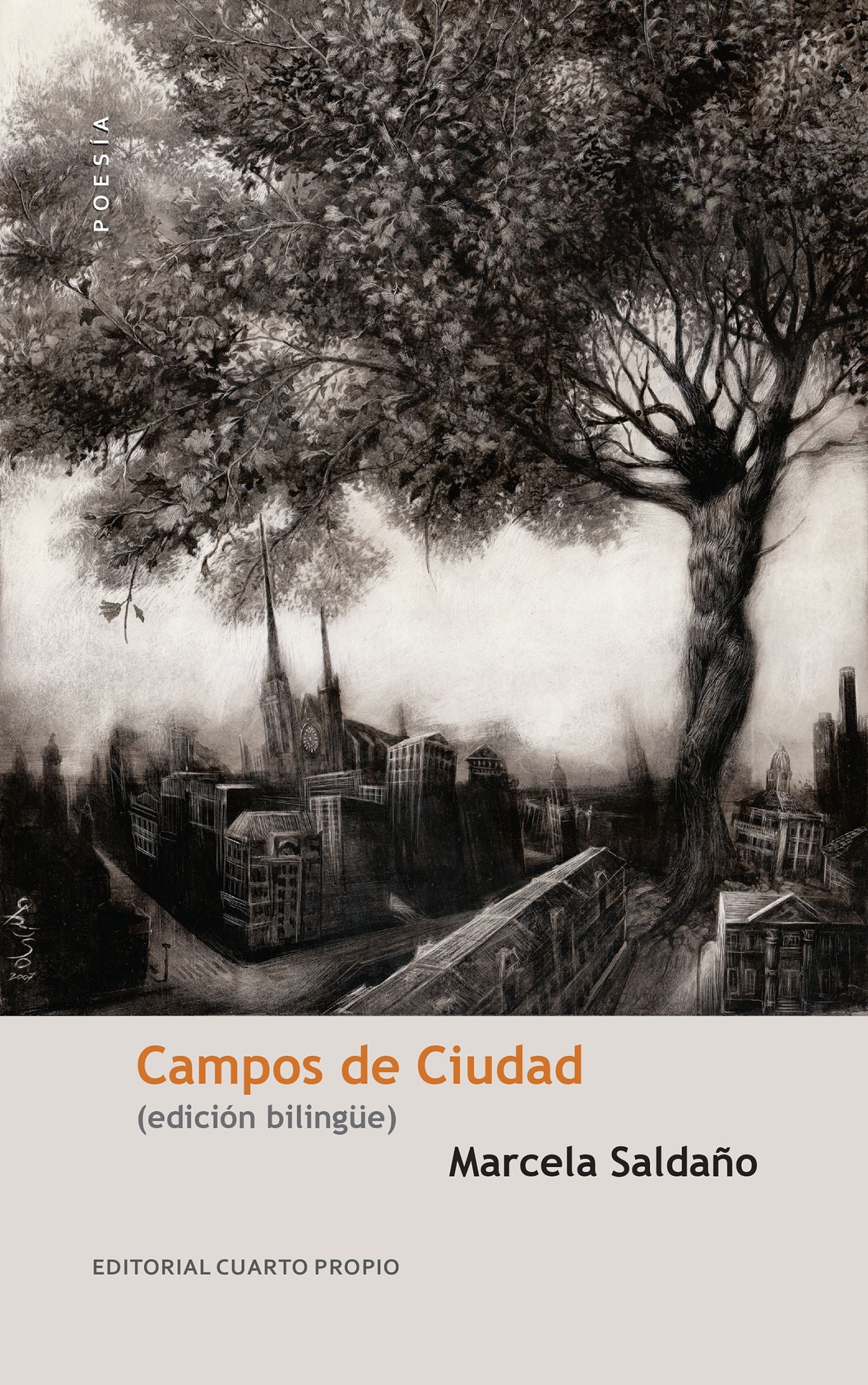 Campos de ciudad: (Edición bilingüe)