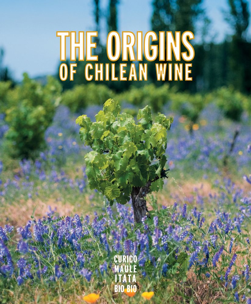 Origins of Chilean Wine