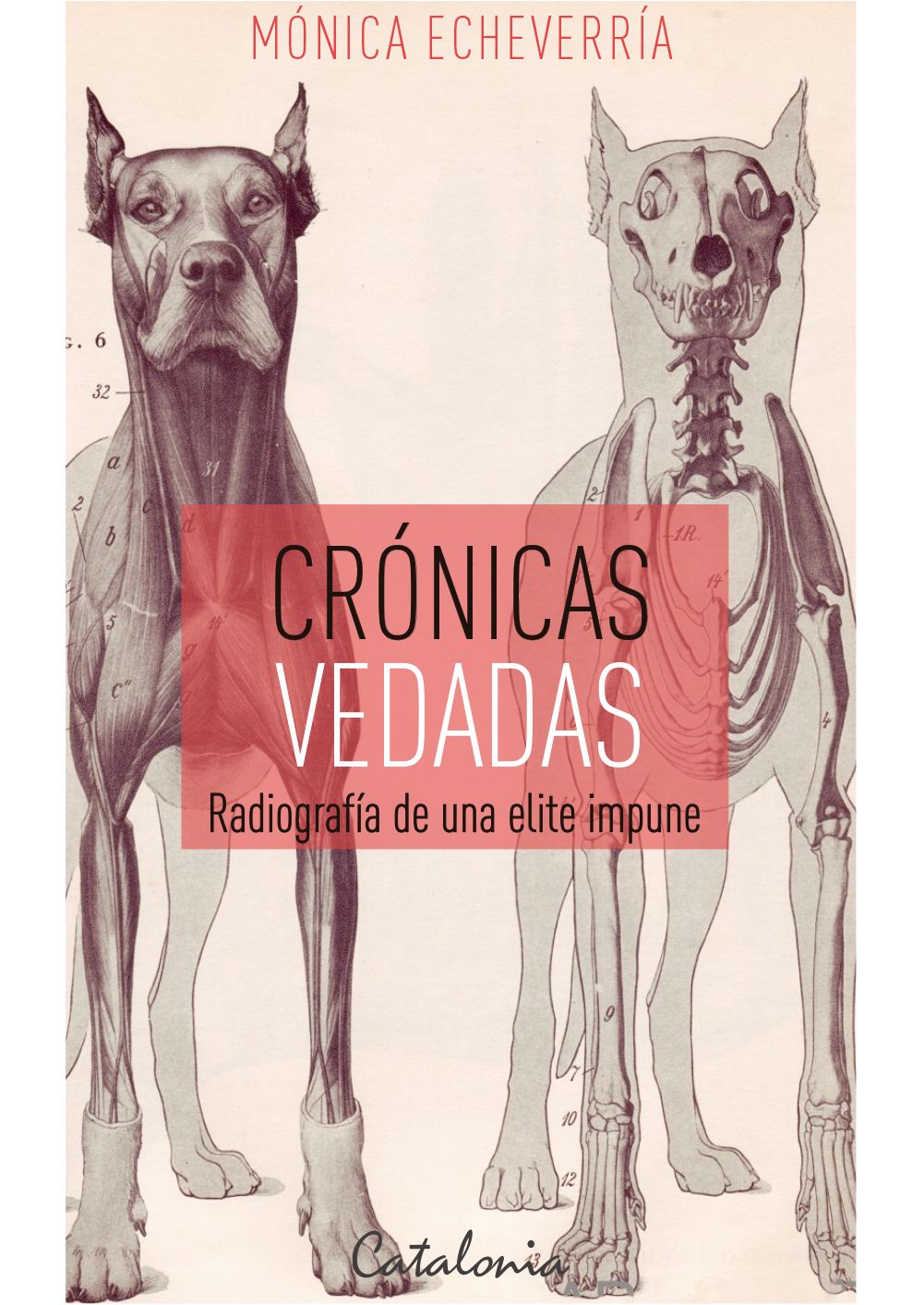Crónicas Vedadas: Radiografía de una elite impune