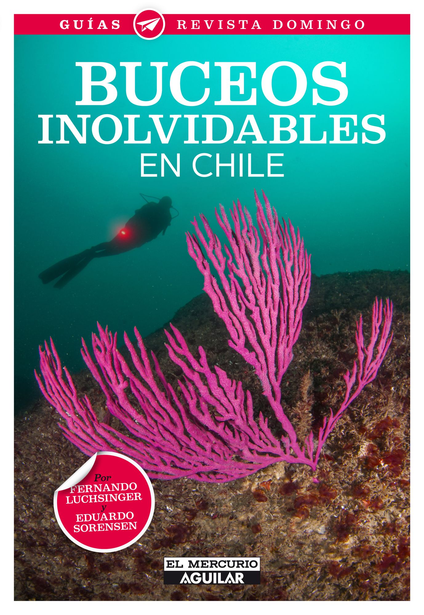 Buceos inolvidables en Chile