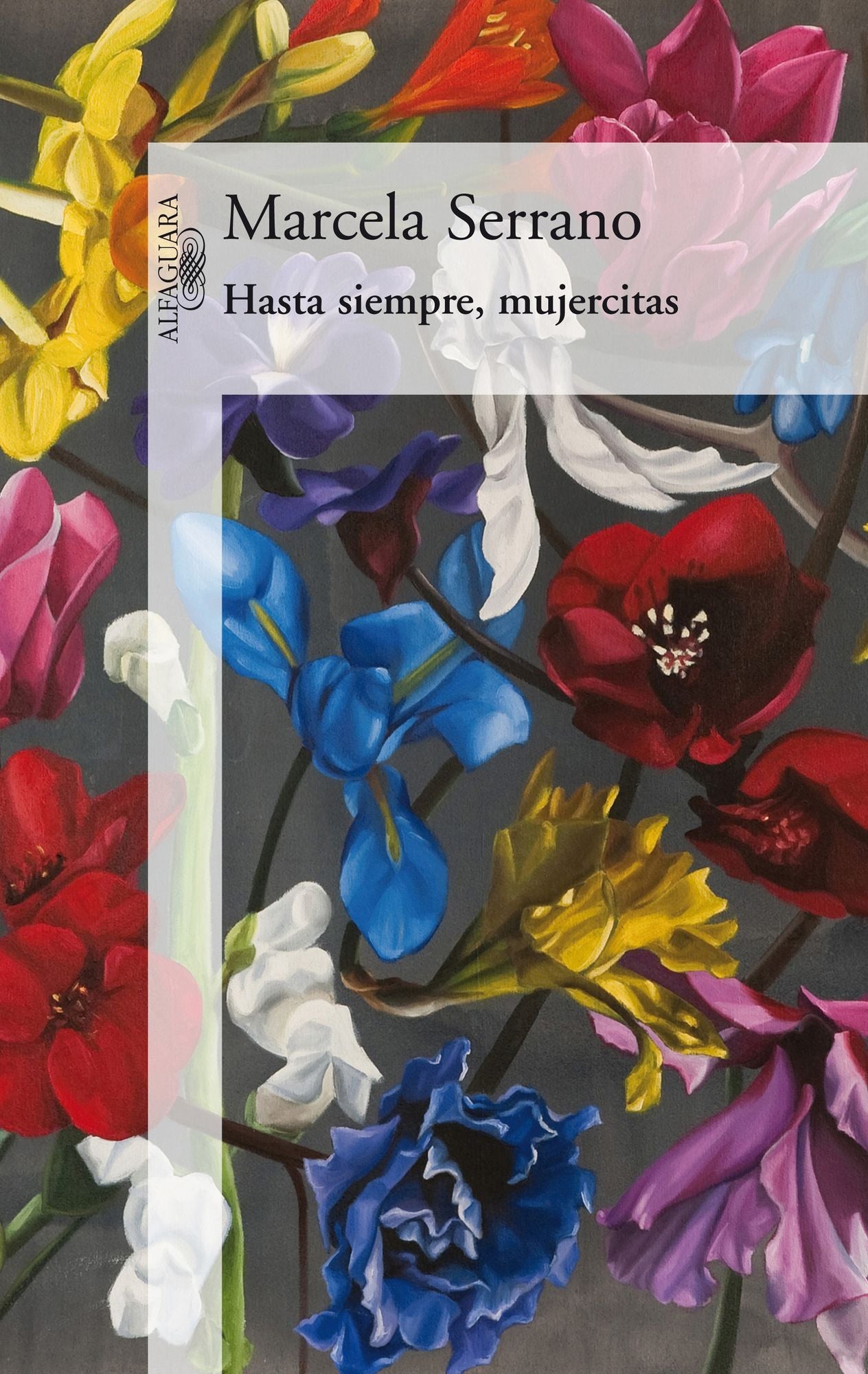 Hasta siempre, mujercitas