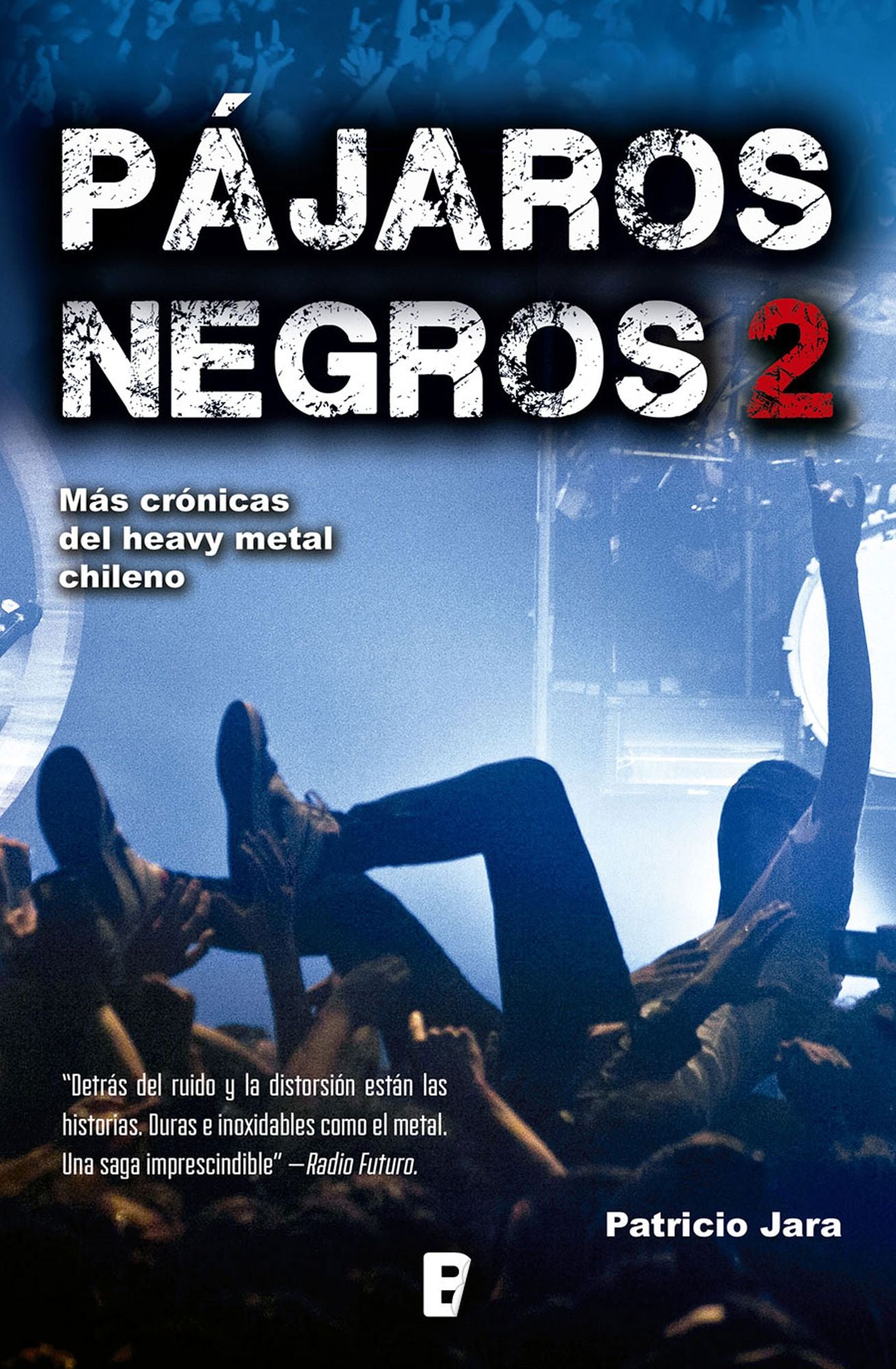 Pájaros negros 2