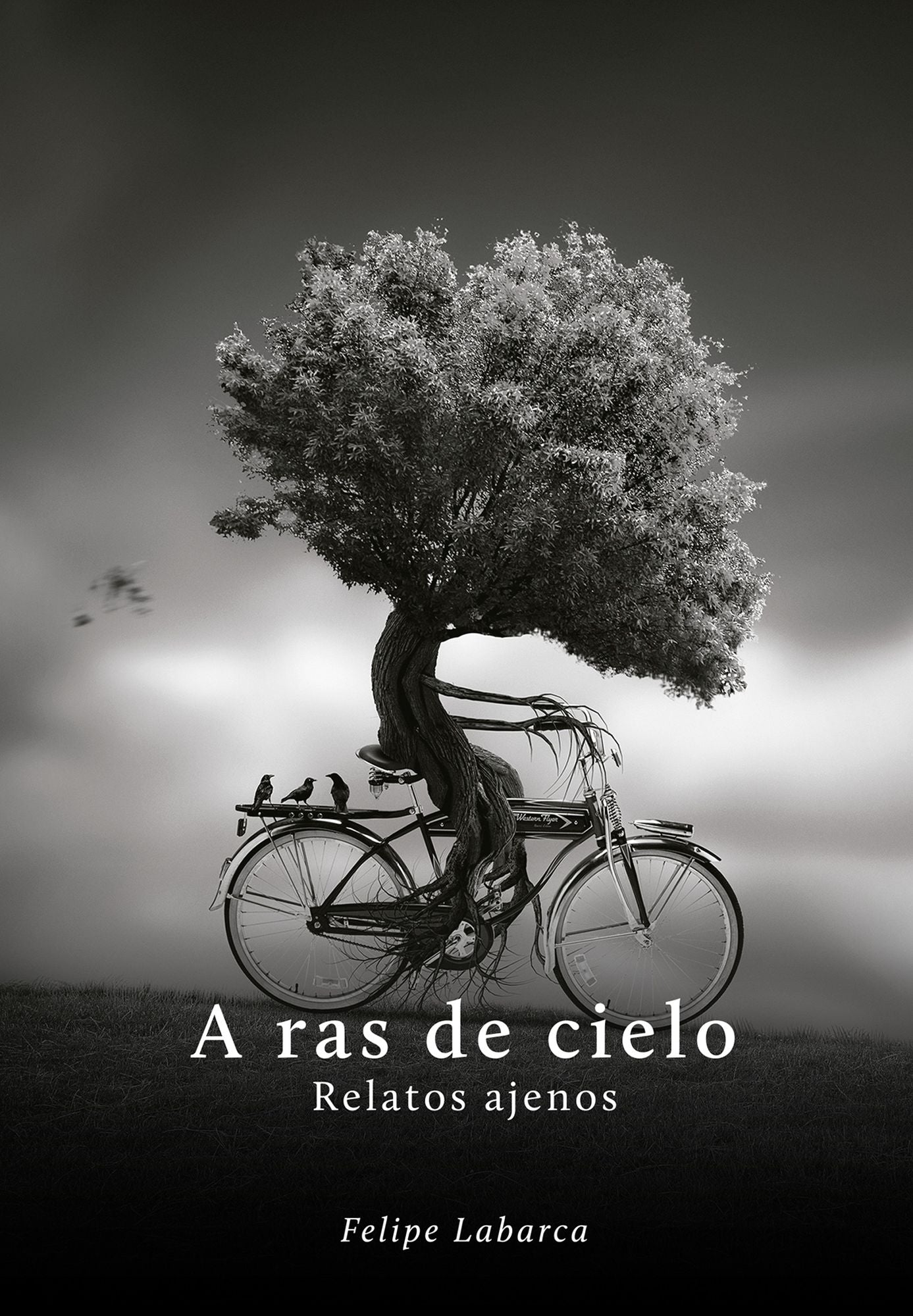 A ras de cielo: Relatos ajenos