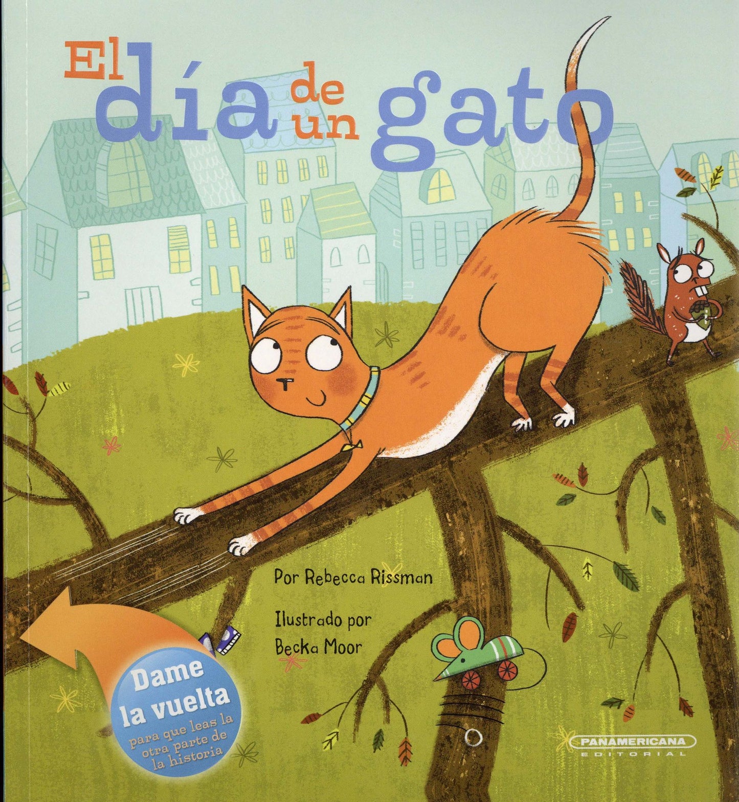 El dia de un gato