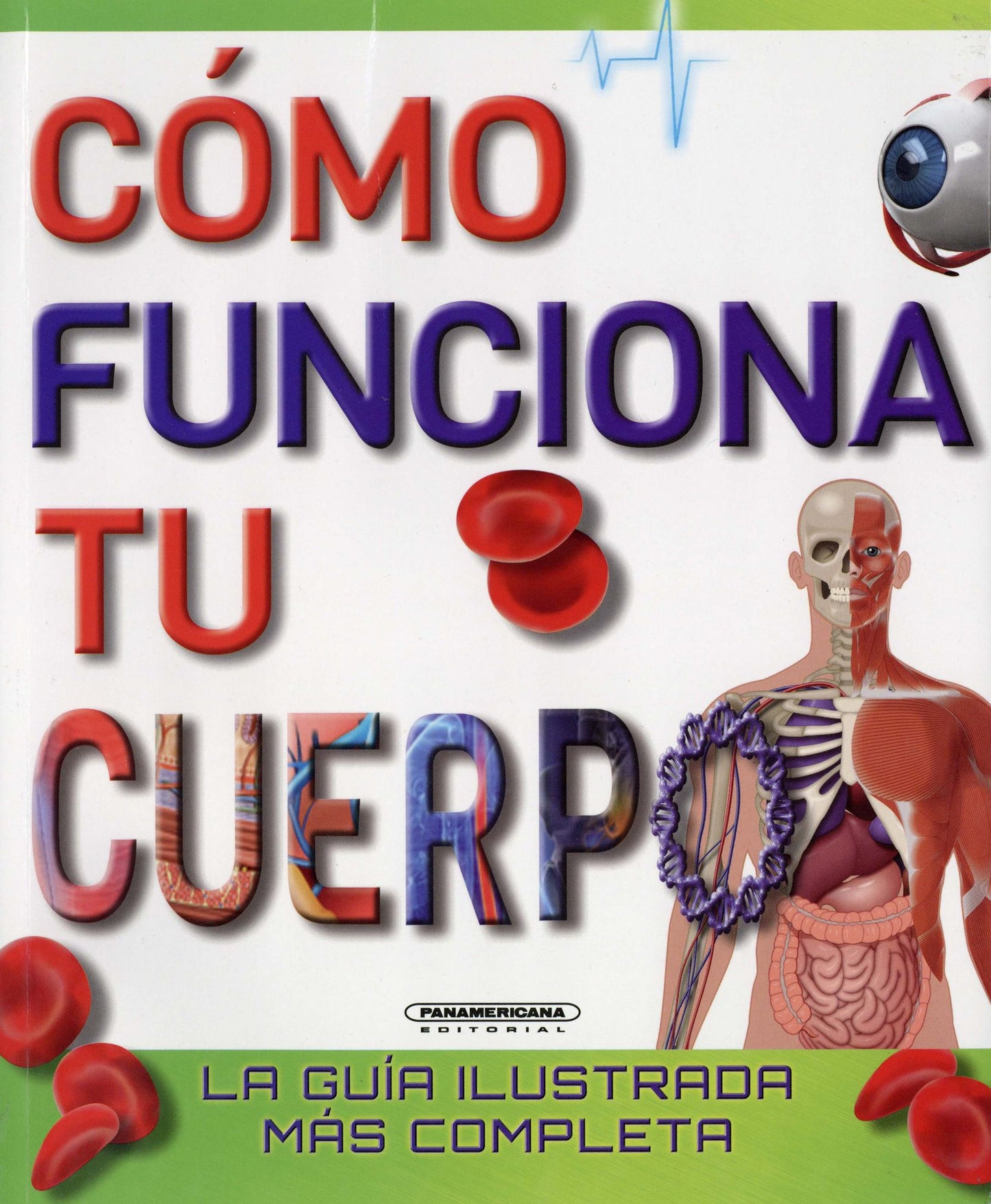 Como funciona tu cuerpo