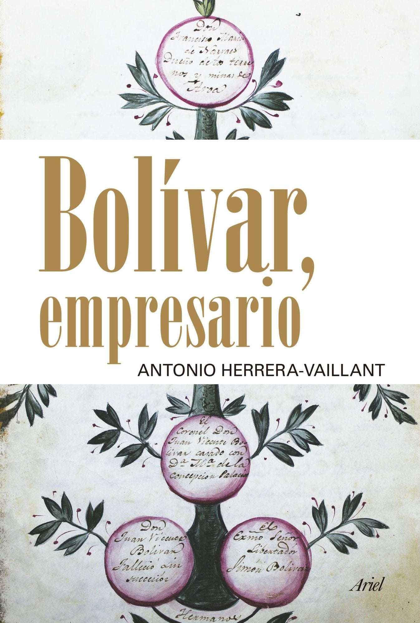 Bolivar, Empresario