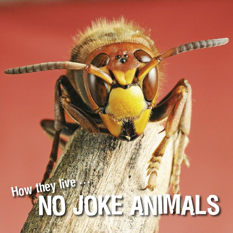 How they live... No joke animals: Learn All There Is to Know About These Animals!