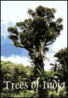 Trees of India