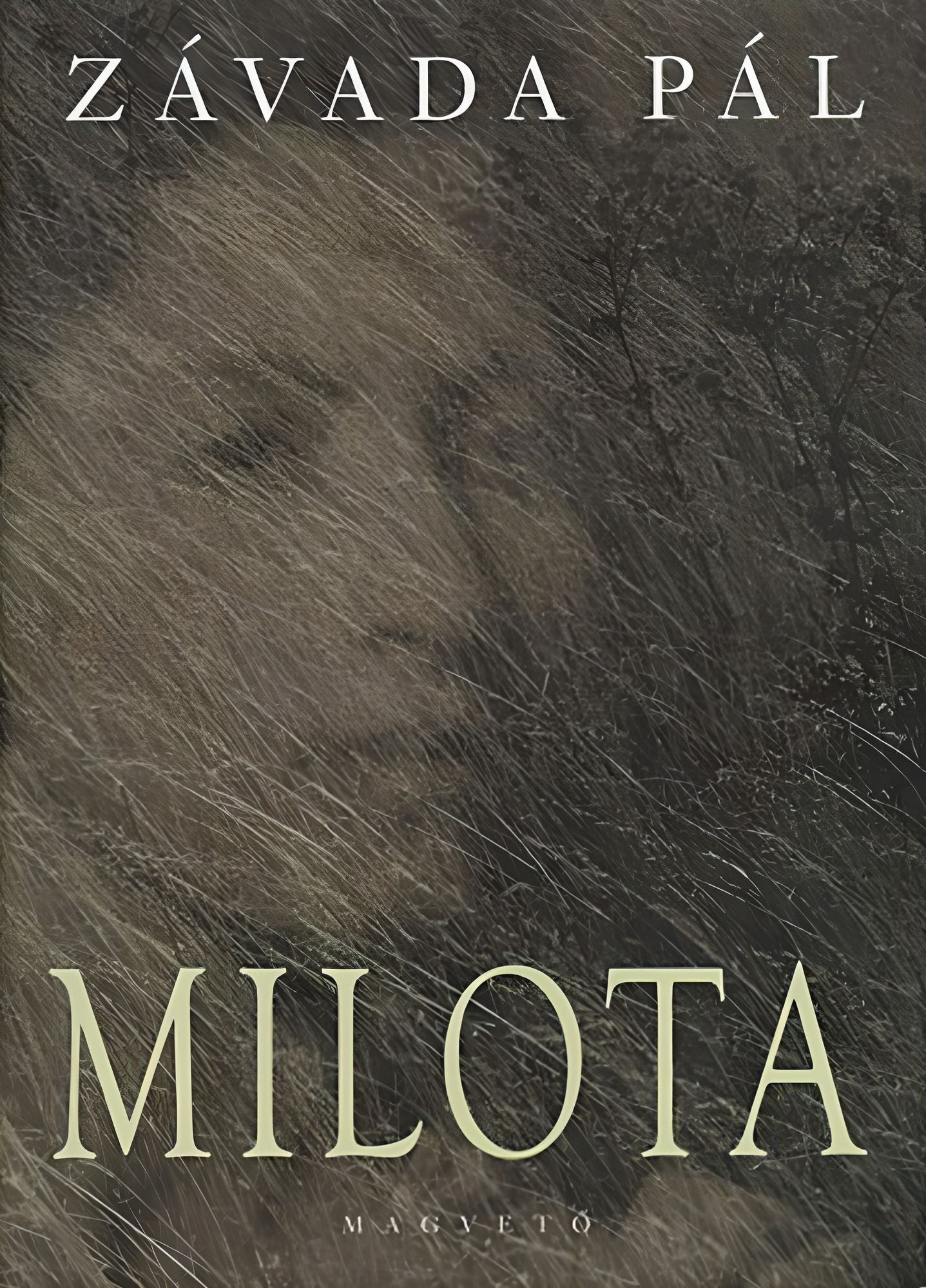 Milota