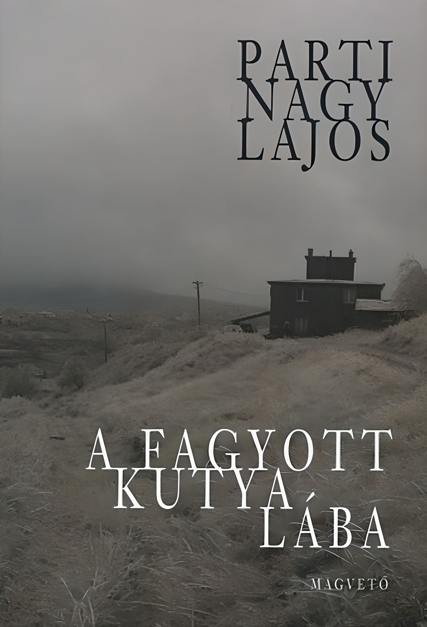 A fagyott kutya lába
