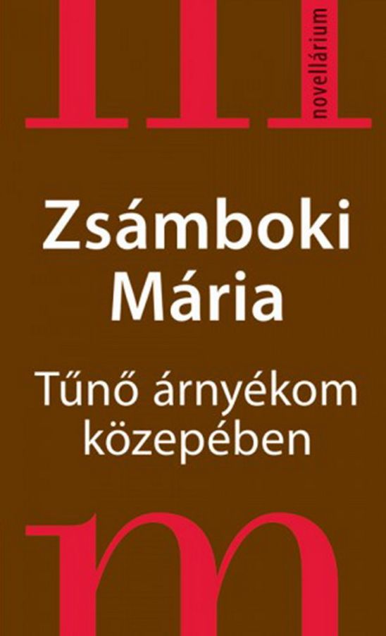 Tűnő árnyékom közepében