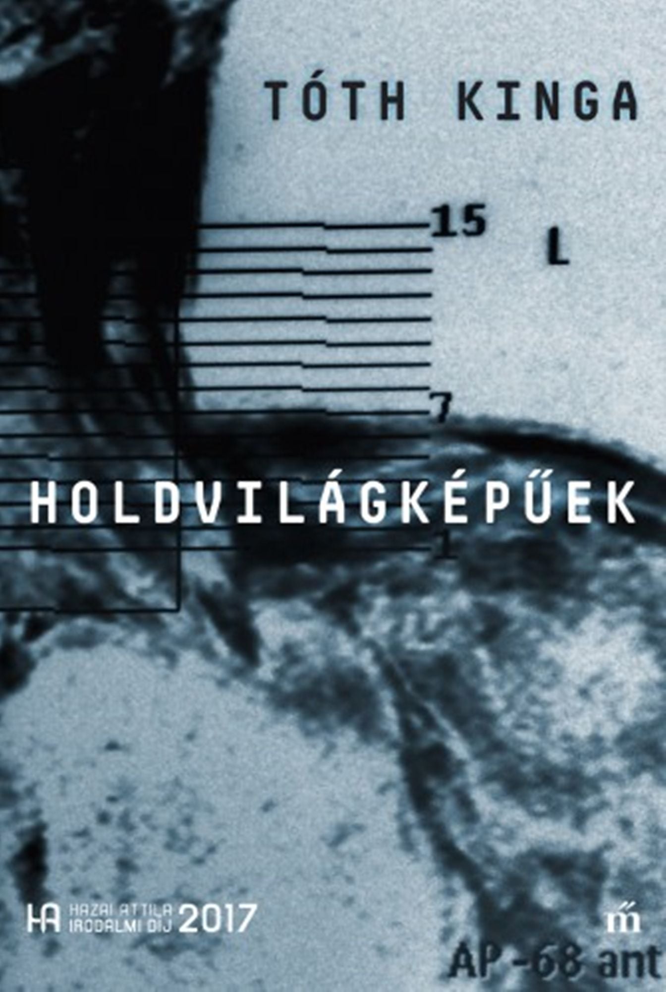 Holdvilágkép