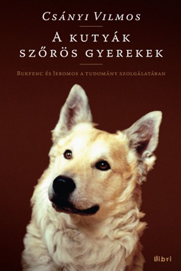 A kutyák szőrös gyerekek