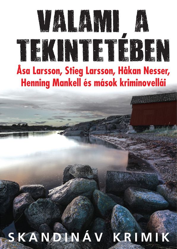 Valami a tekintetében