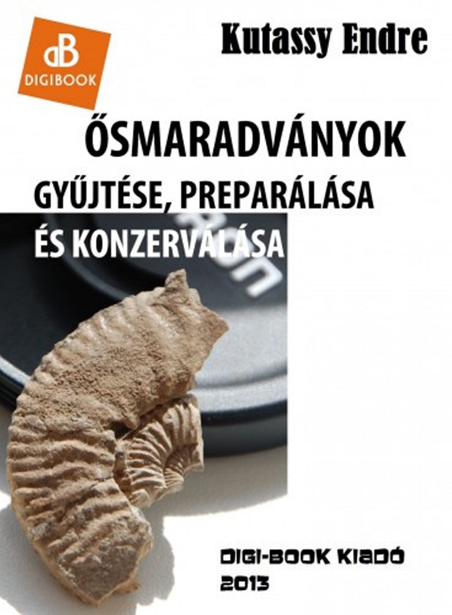 Ősmaradványok gyűjtése és preparálása