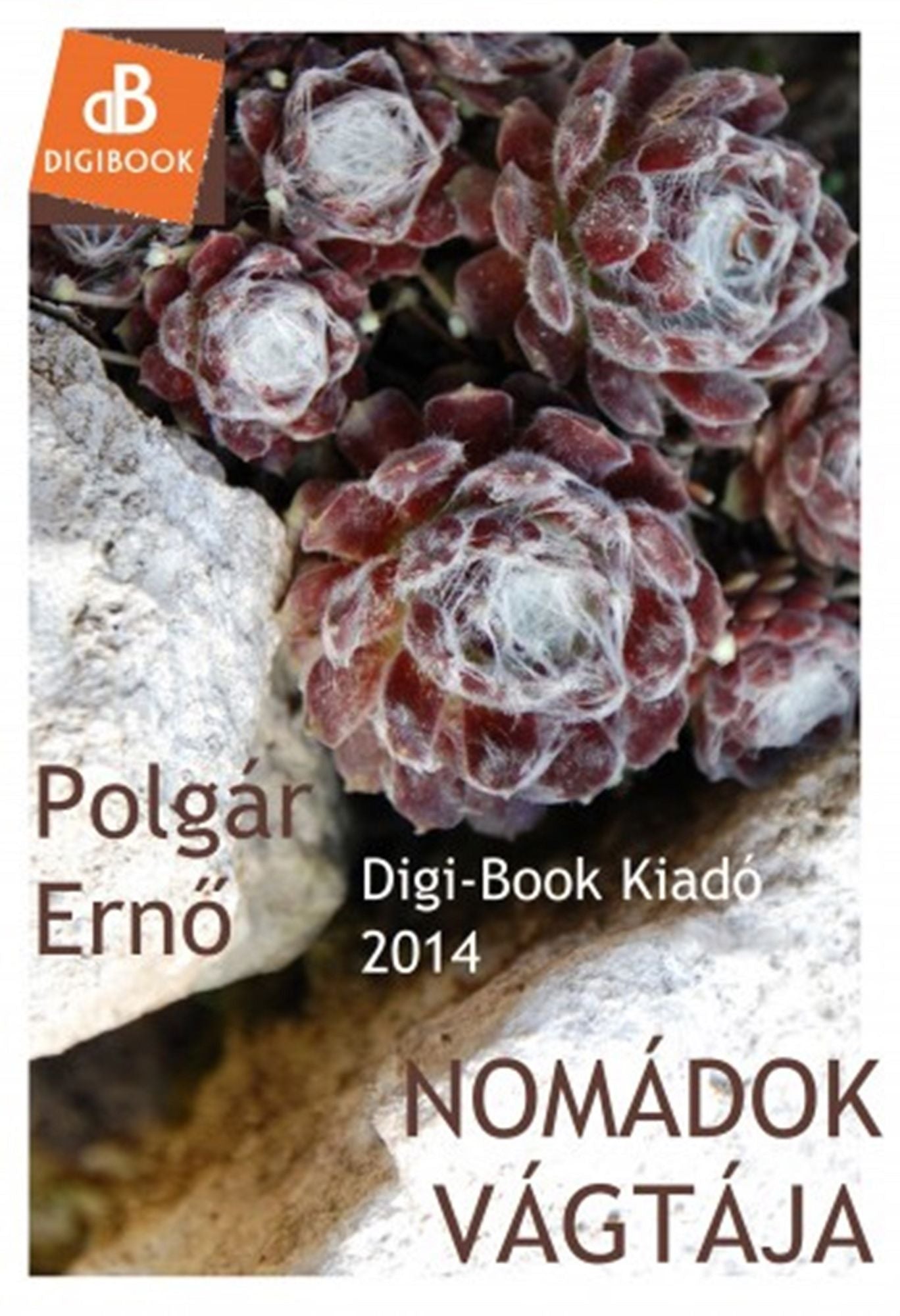 Nomádok vágtája