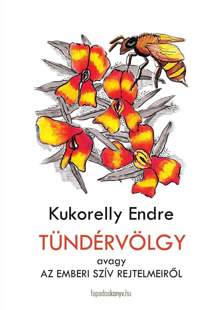 Tündérvölgy : avagy az emberi szív rejtelmeiről