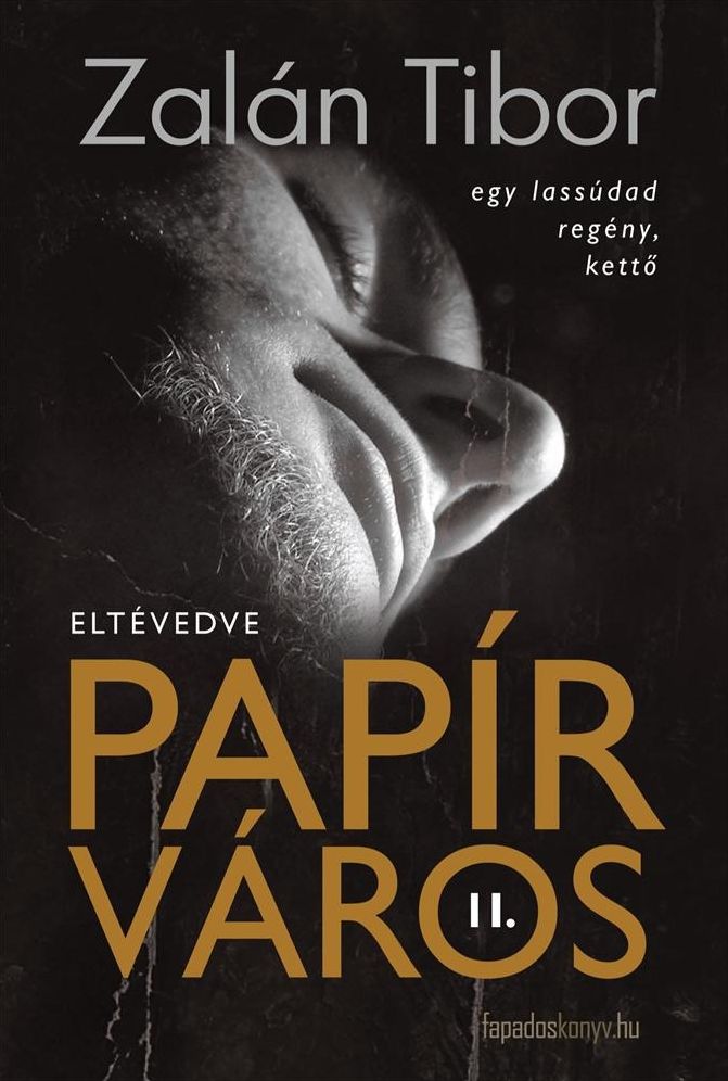 Papírváros II. : Eltévedve - egy lassúdad regény, kettő