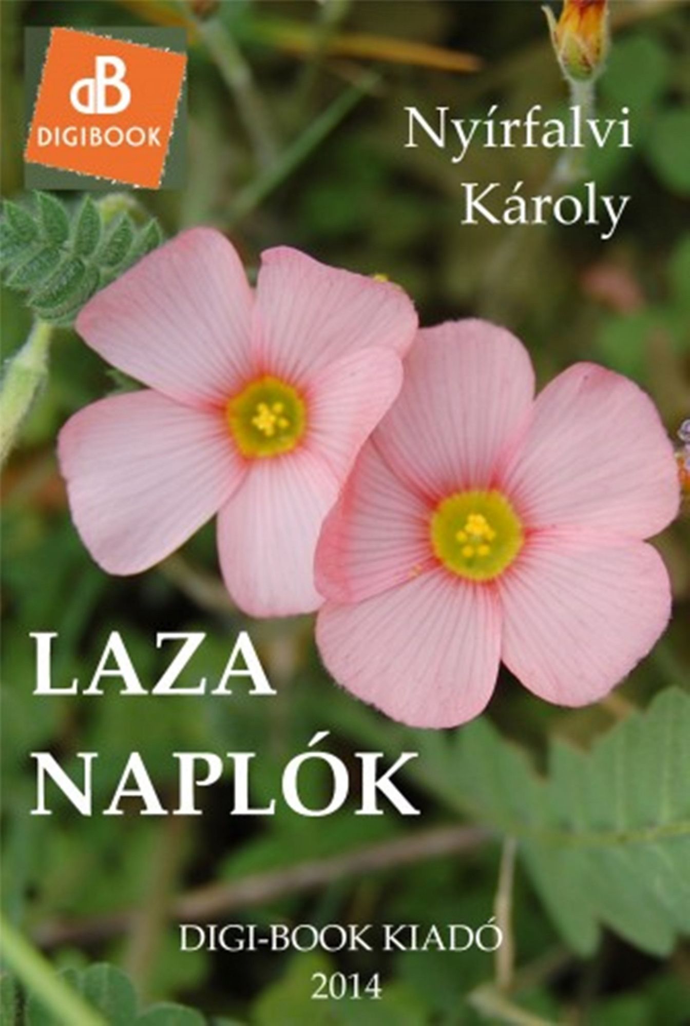 Laza naplók