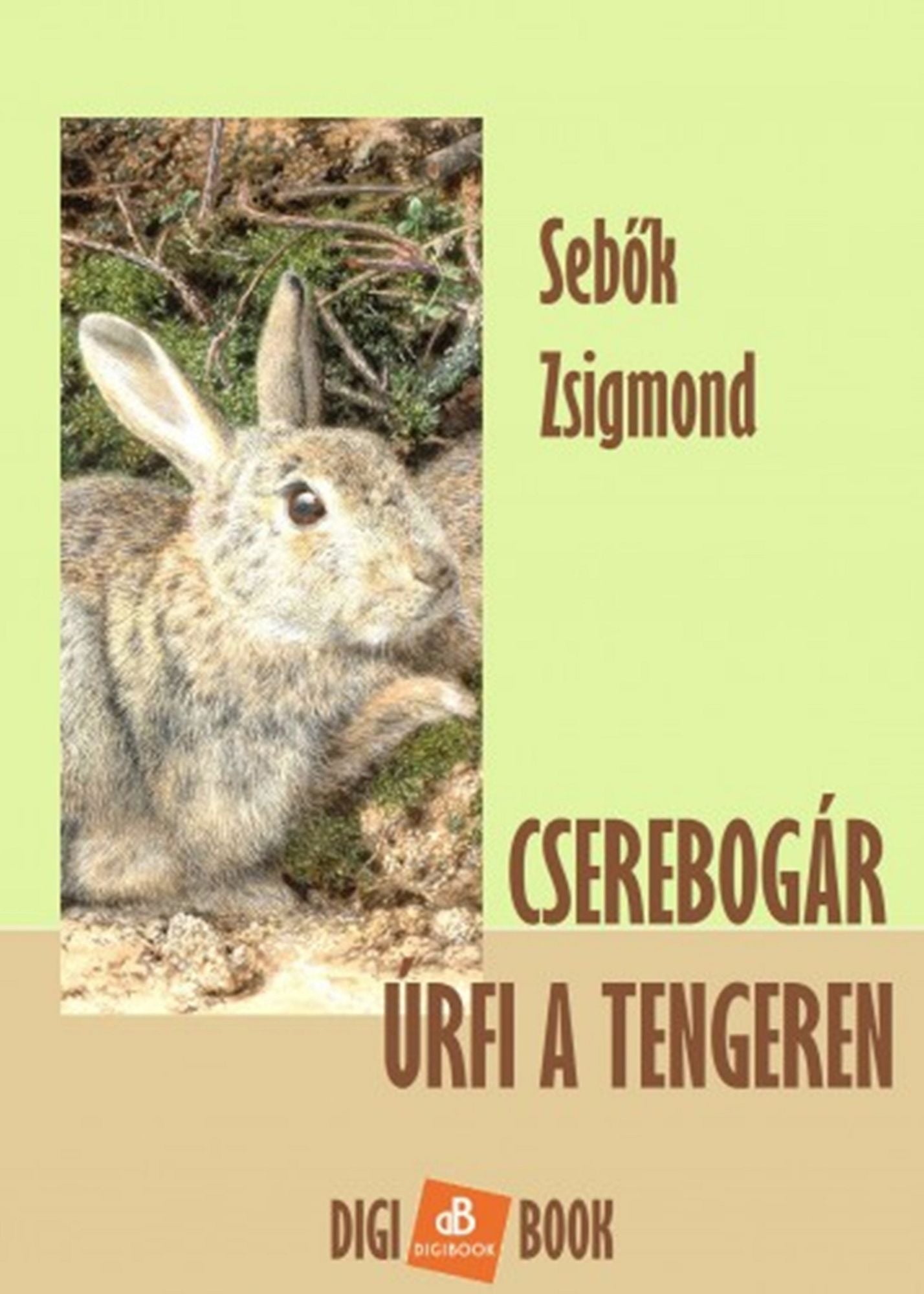 Cserebogár úrfi a tengeren